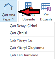 Çatı.png