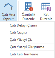 Çatı.png